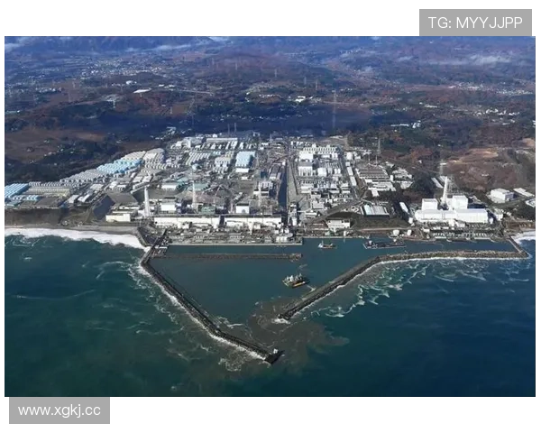 先胜后负数据悬殊日本夺冠在望
