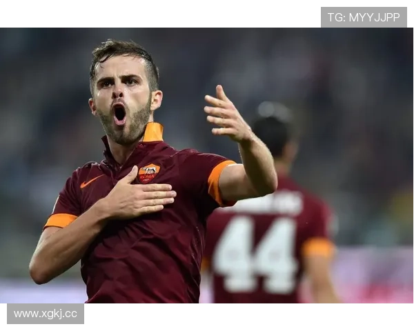 楚阿梅尼力挺维尼修斯核心立场